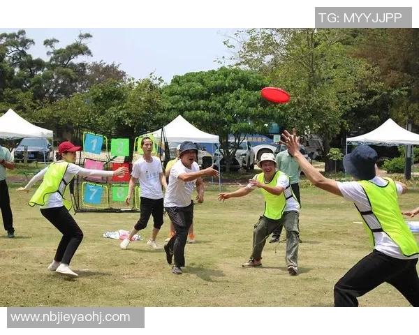 杭州飞盘队飞盘意识排名创新高引发热议提升团队竞技水平的关键所在